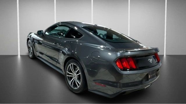Used 2017 Ford Mustang Premium w/ Equipment Group 201A image 3