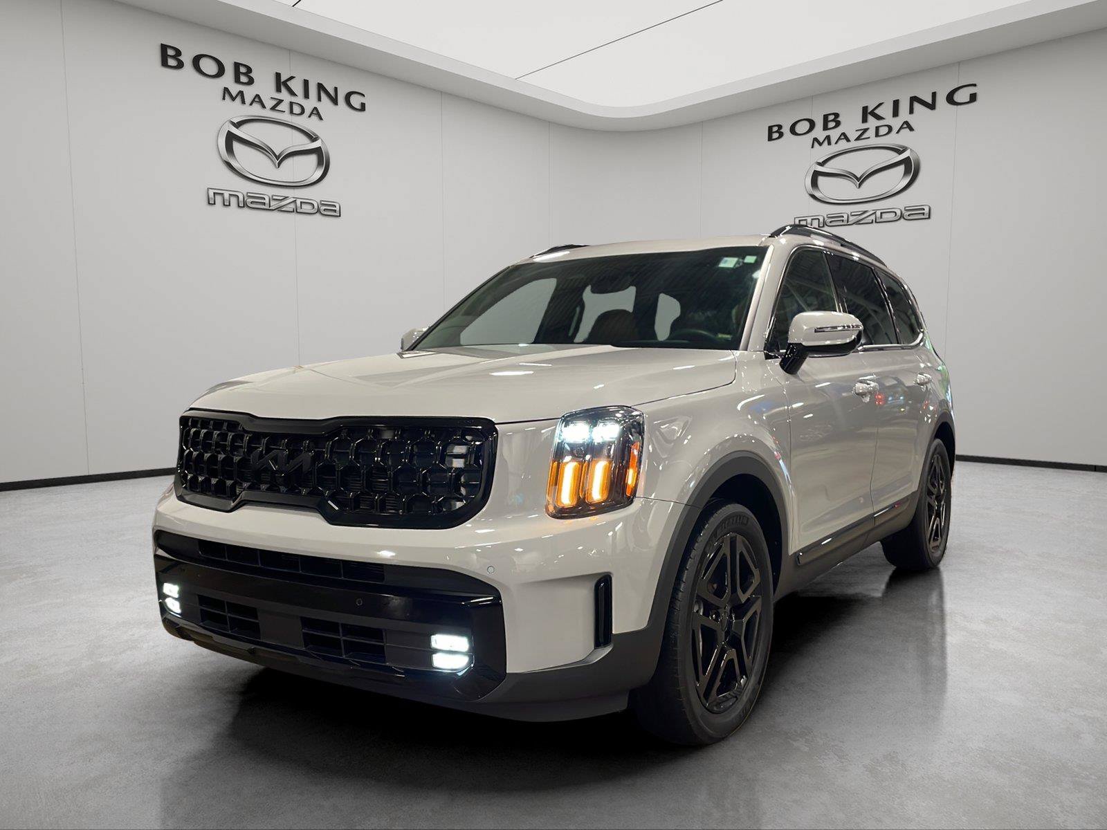 Used 2025 Kia Telluride SX Prestige X-Line AWD/4WD image 1