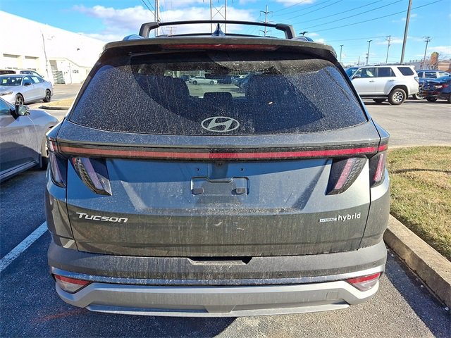 Used 2025 Hyundai Tucson Limited image 5