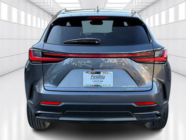 Certified 2023 Lexus NX 250 AWD image 6