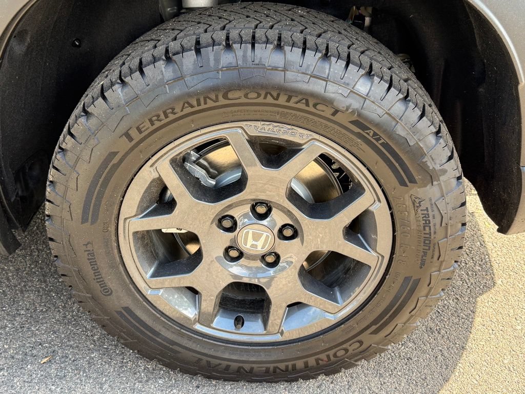 Certified 2026 Honda Pilot TrailSport image 12