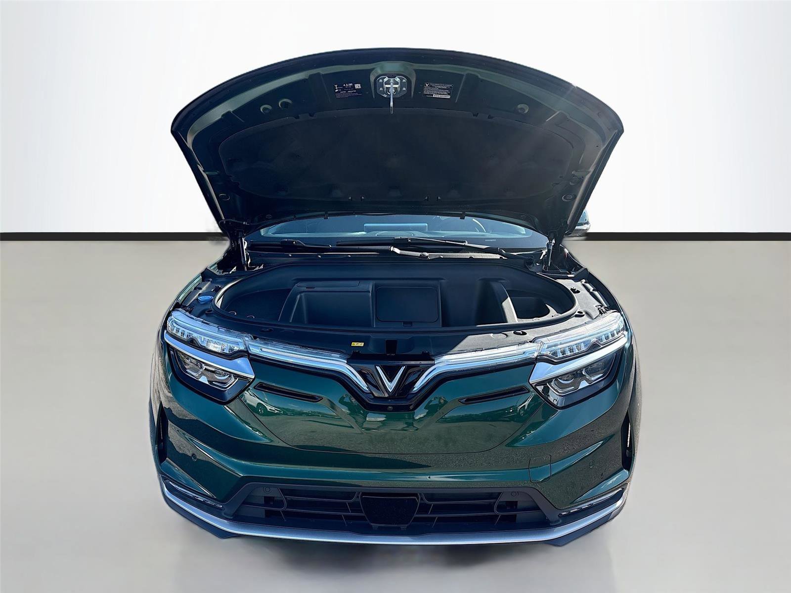 New 2025 VinFast VF 8 Plus image 34