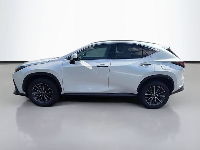 Used 2025 Lexus NX 350h AWD w/ Cold Area Package image 4