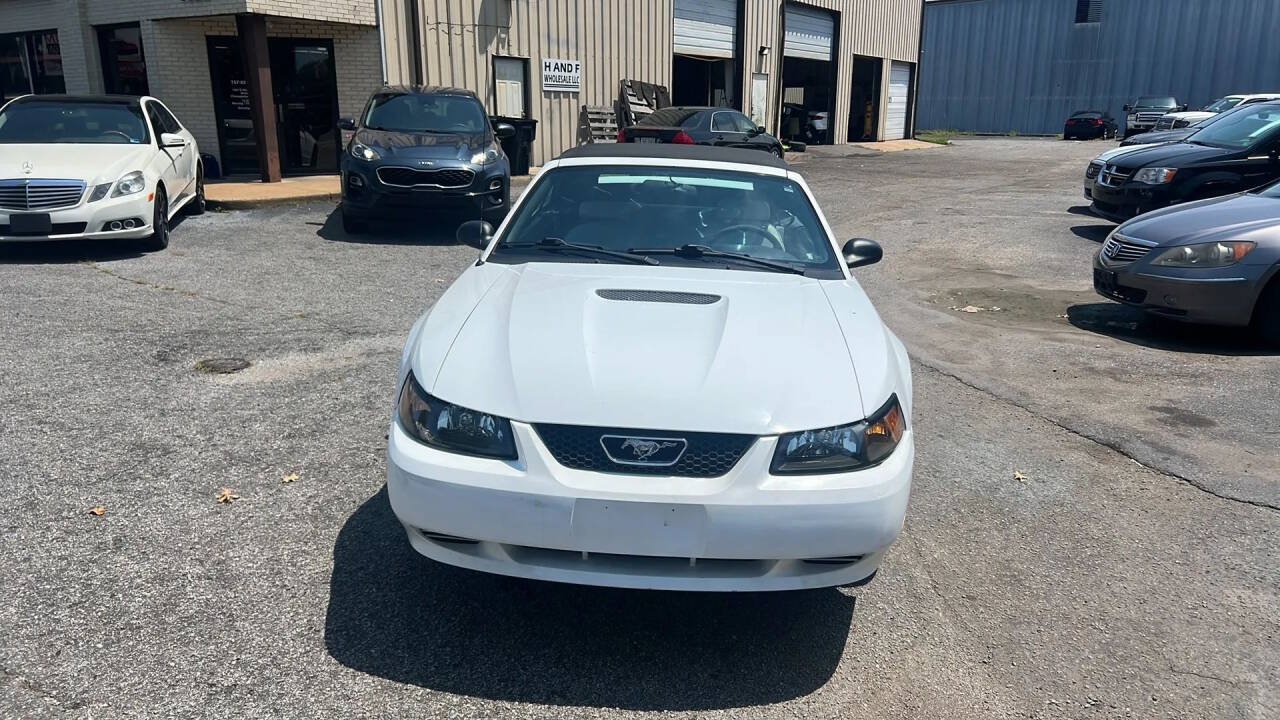 Used 1999 Ford Mustang Convertible RWD image 2