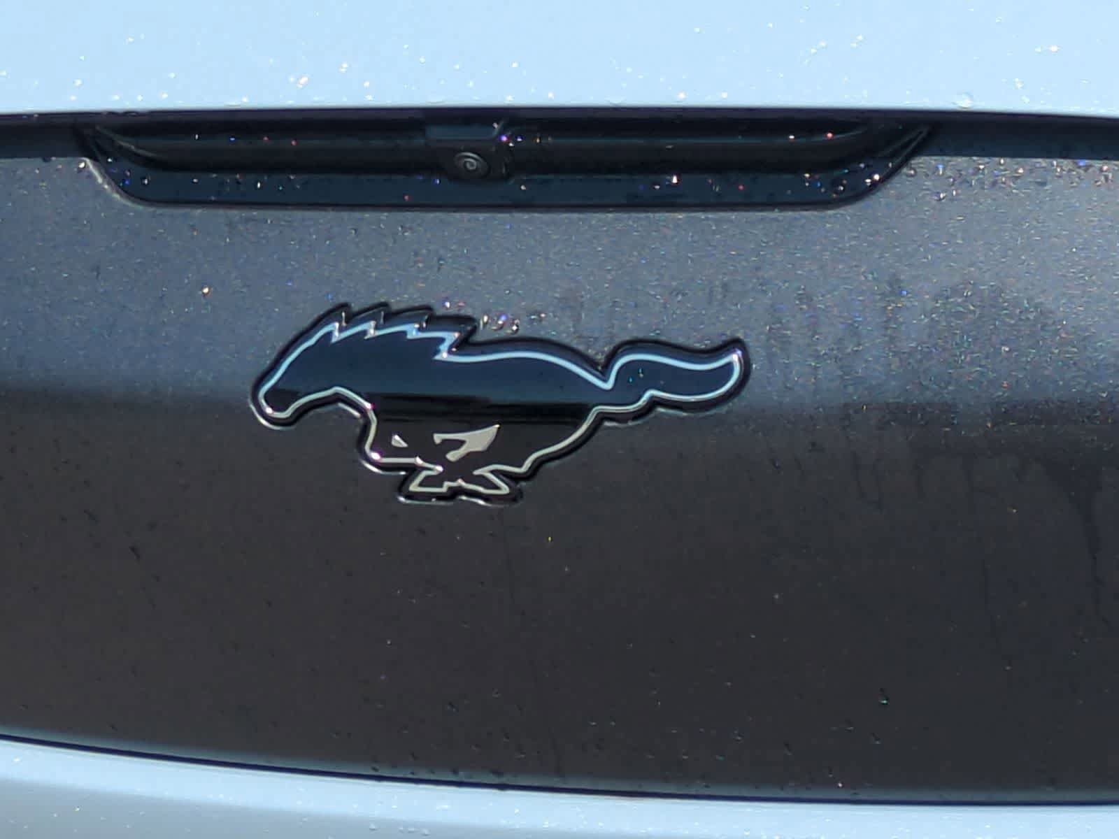 New 2026 Ford Mustang Mach-E GT w/ Interior Protection Package AWD/4WD image 12