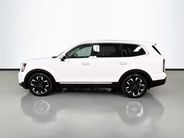 Certified 2024 Kia Telluride SX image 4
