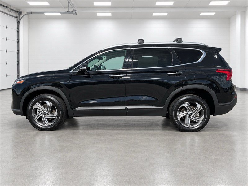 Used 2023 Hyundai Santa Fe SEL AWD/4WD image 2