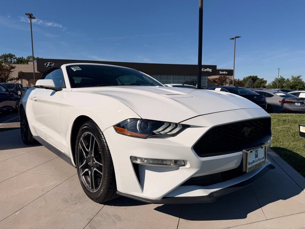 Used 2019 Ford Mustang Premium RWD image 11