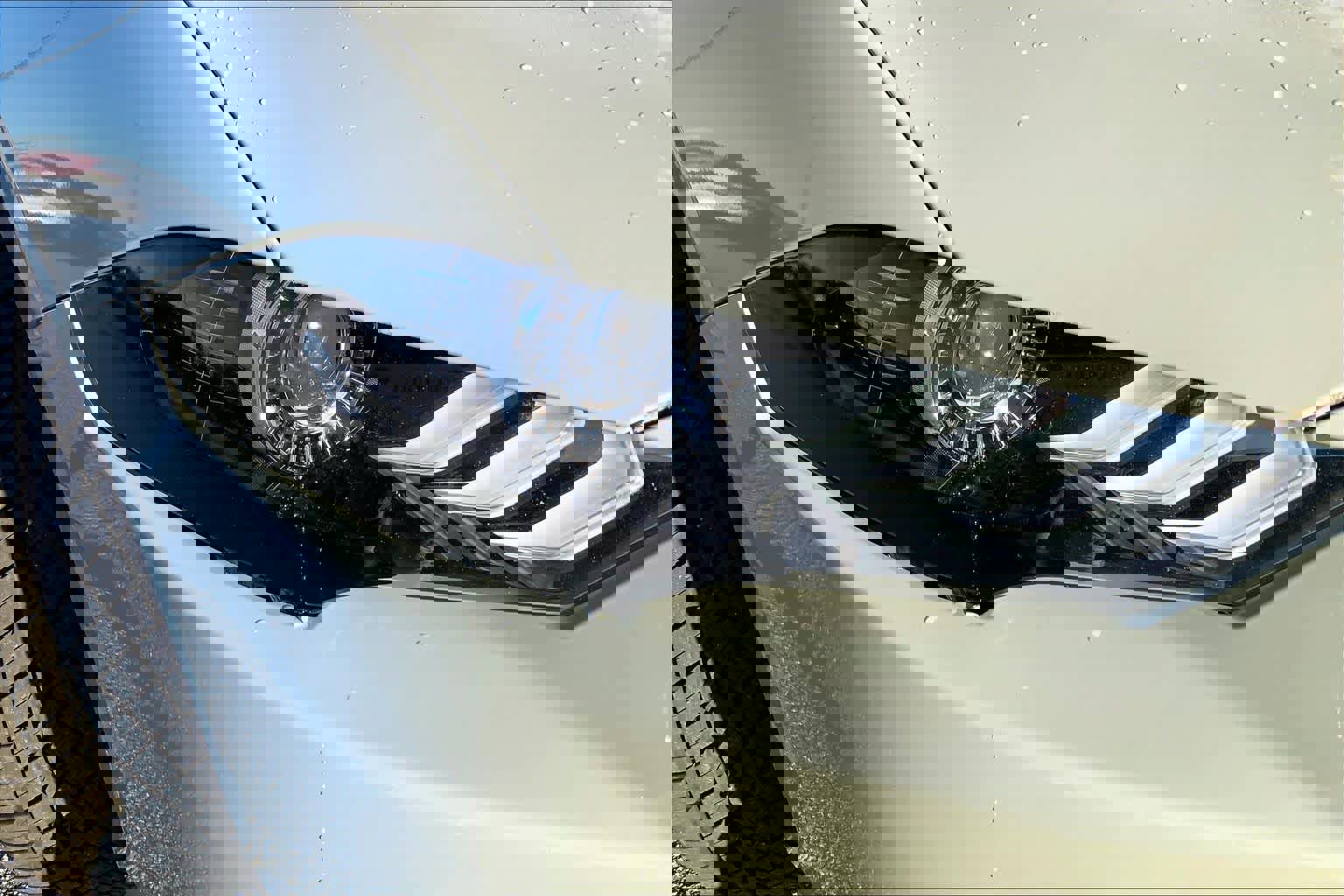 Used 2021 Ford Mustang Mach 1 w/ Equipment Group 700A image 25