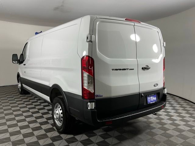 New 2026 Ford Transit 250 Low Roof w/ Load Area Protection Package image 5