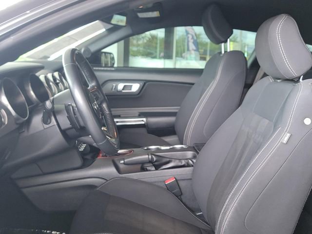Used 2019 Ford Mustang GT w/ Equipment Group 301A RWD image 9