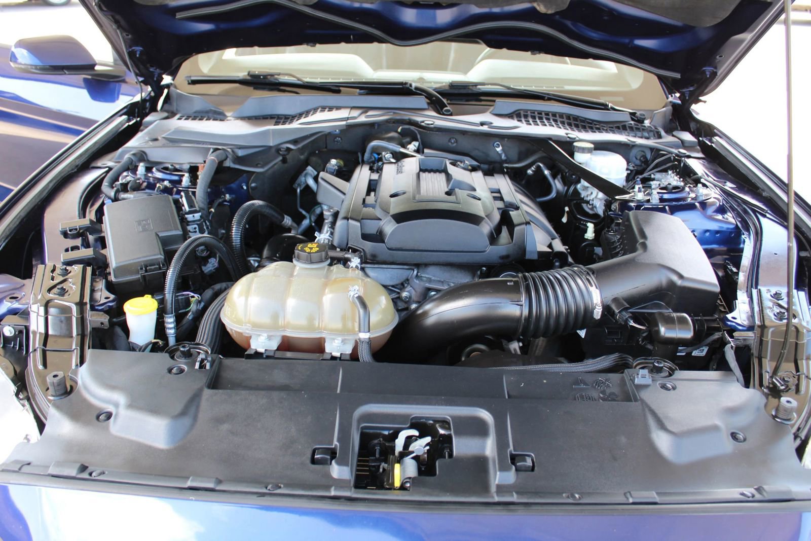 Used 2019 Ford Mustang Premium image 35
