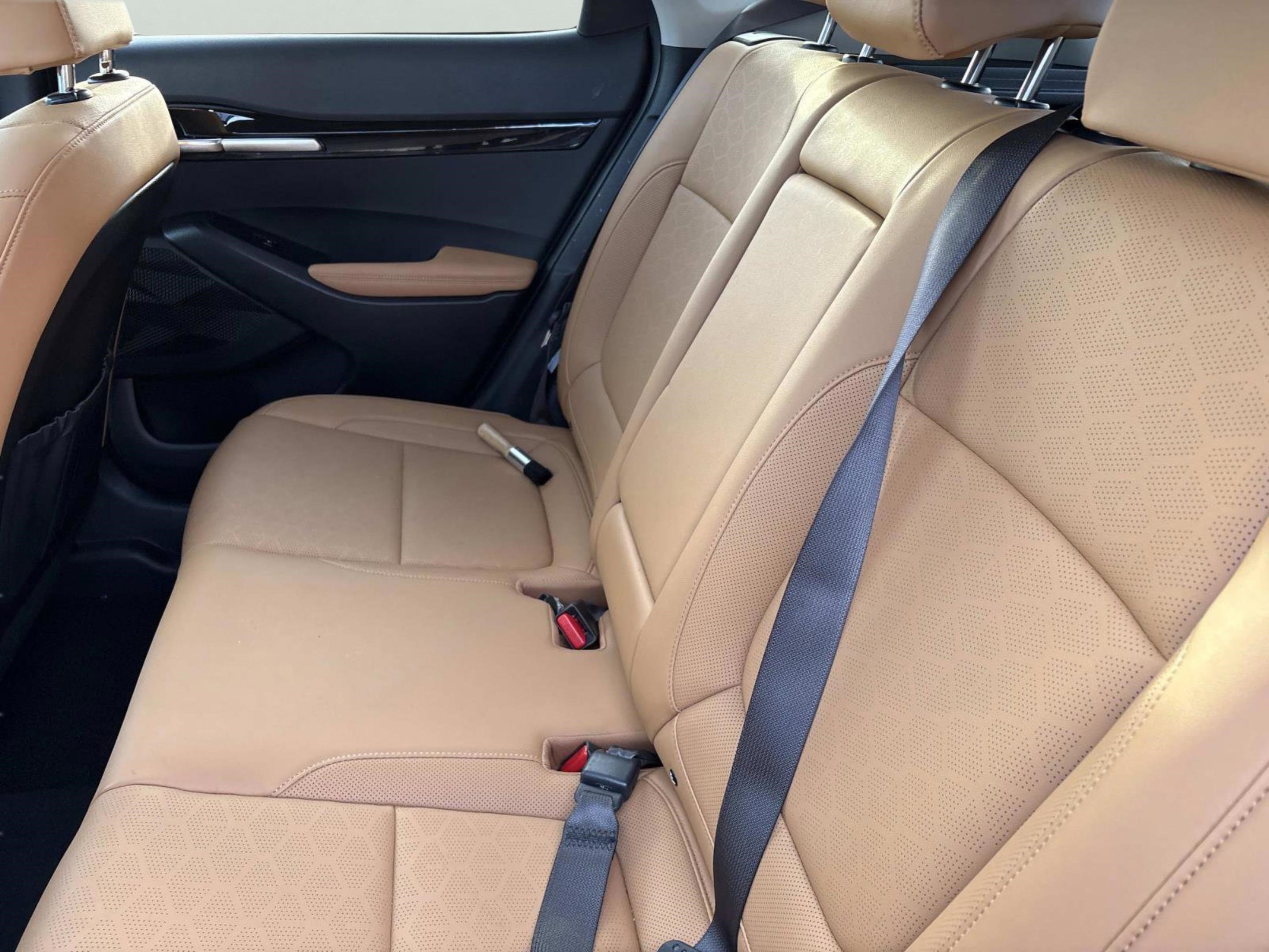 Used 2024 Kia Seltos SX w/ SX Sunroof Package image 17