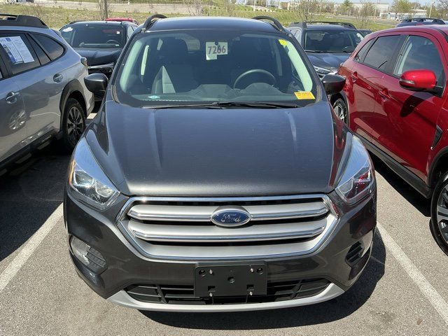 Used 2017 Ford Escape SE w/ Equipment Group 201A image 2