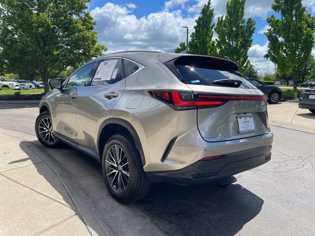 Used 2023 Lexus NX 350 AWD w/ Cold Area Package image 5