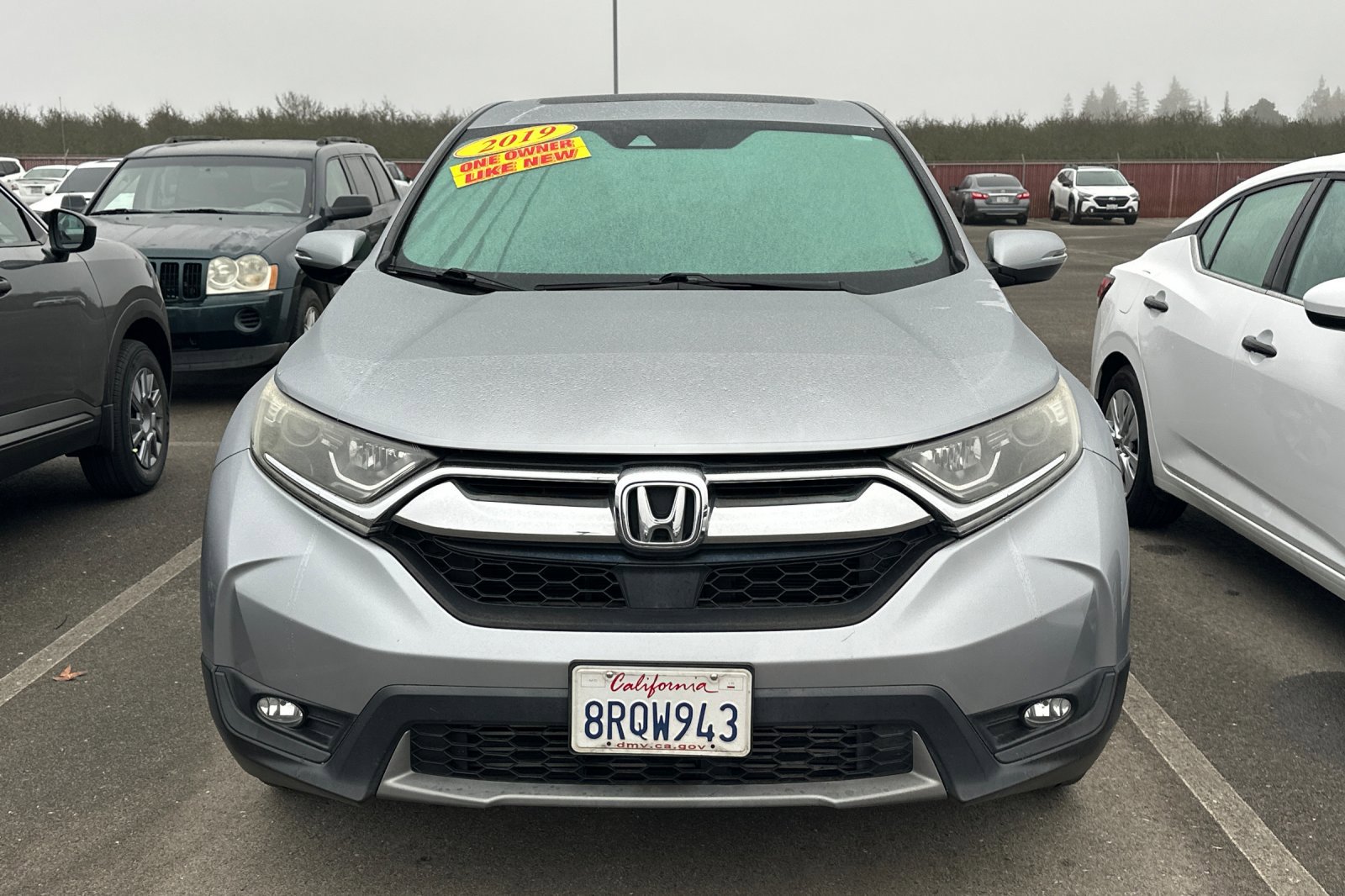 Used 2019 Honda CR-V EX-L image 5