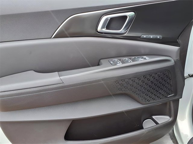 New 2025 Kia Carnival SX Prestige image 19