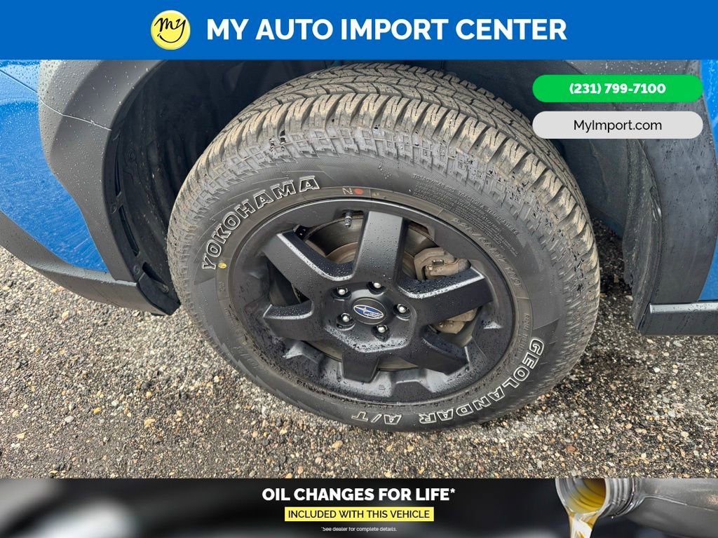 Used 2023 Subaru Outback Wilderness AWD/4WD image 6