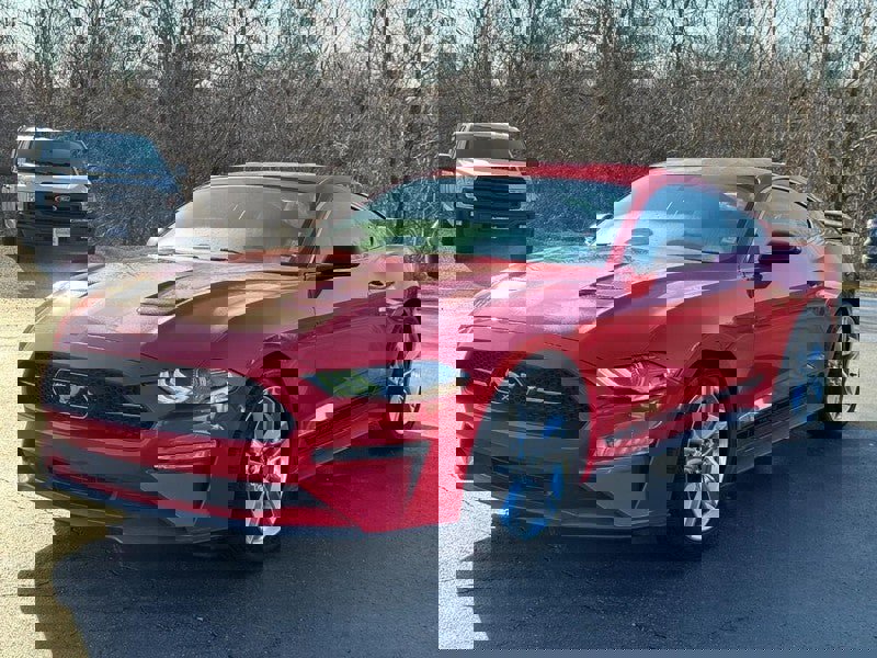 Used 2019 Ford Mustang Premium w/ Pony Package image 7