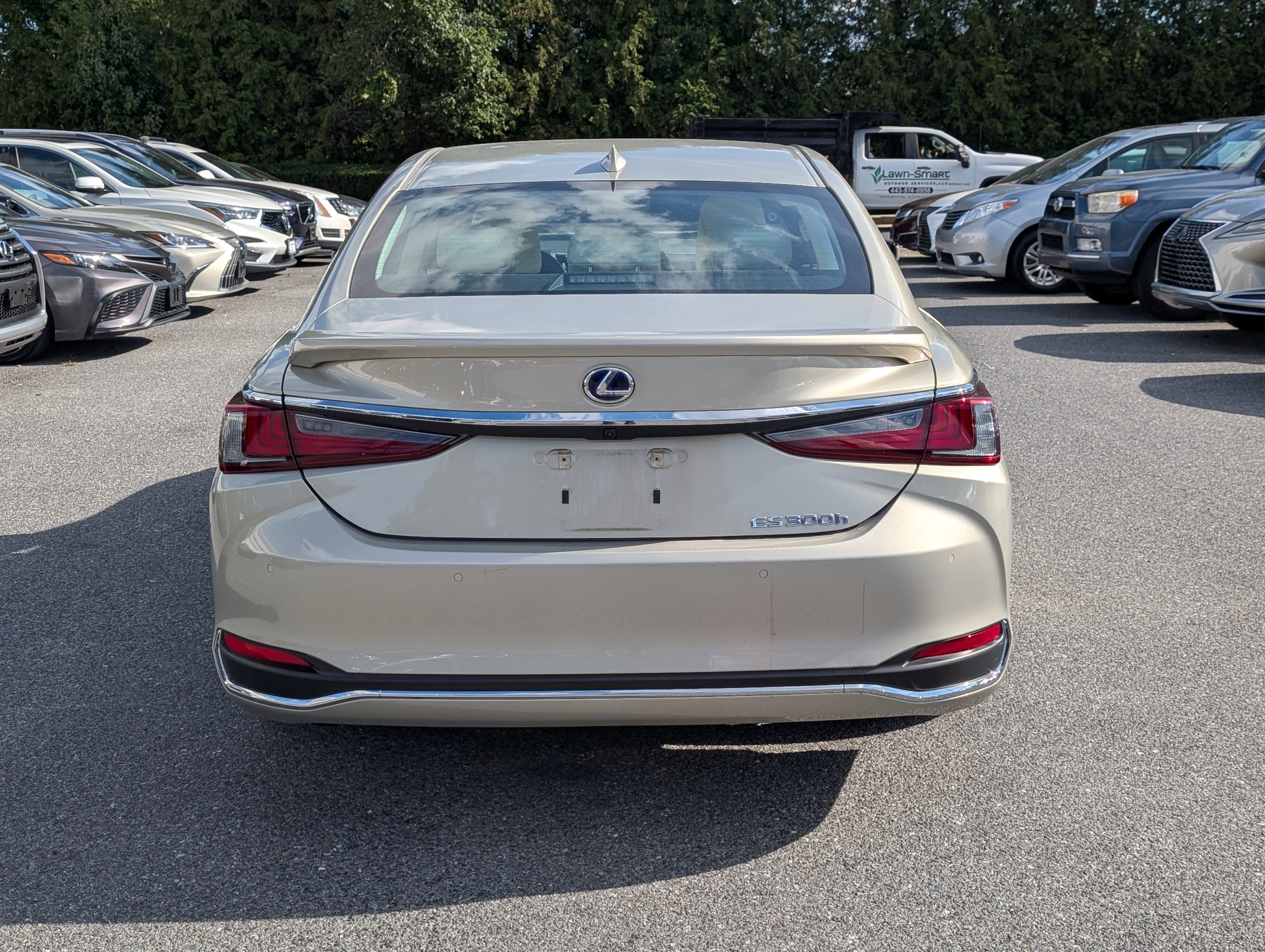 Certified 2022 Lexus ES 300h w/ Premium Package image 4