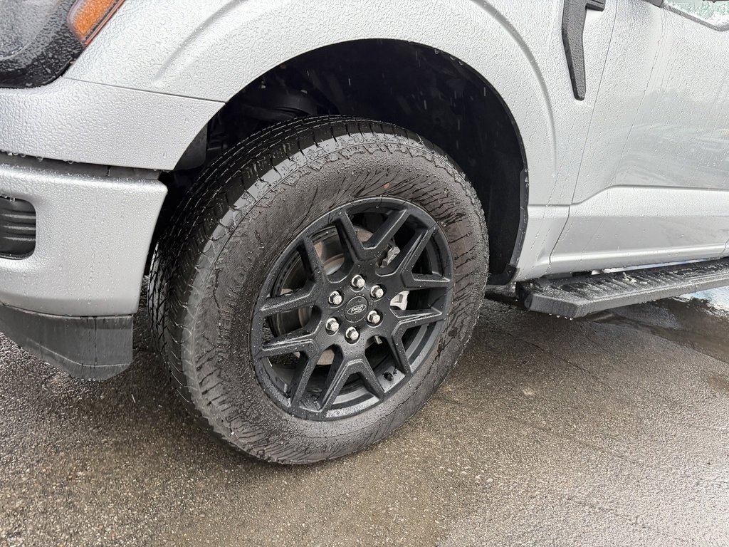 Used 2024 Ford F150 STX w/ STX Black Appearance Package image 9