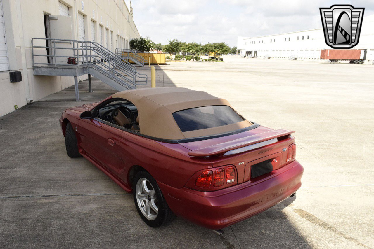 Used 1998 Ford Mustang Cobra image 5
