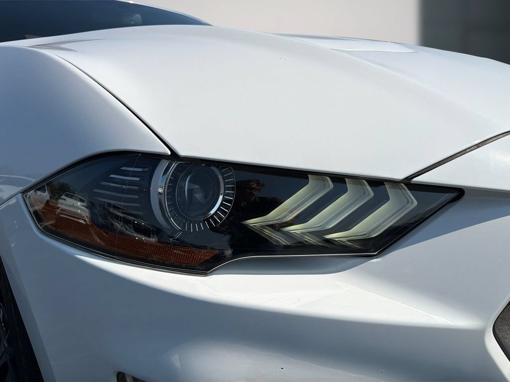 Used 2019 Ford Mustang Premium w/ Ecoboost Performance Package RWD image 11