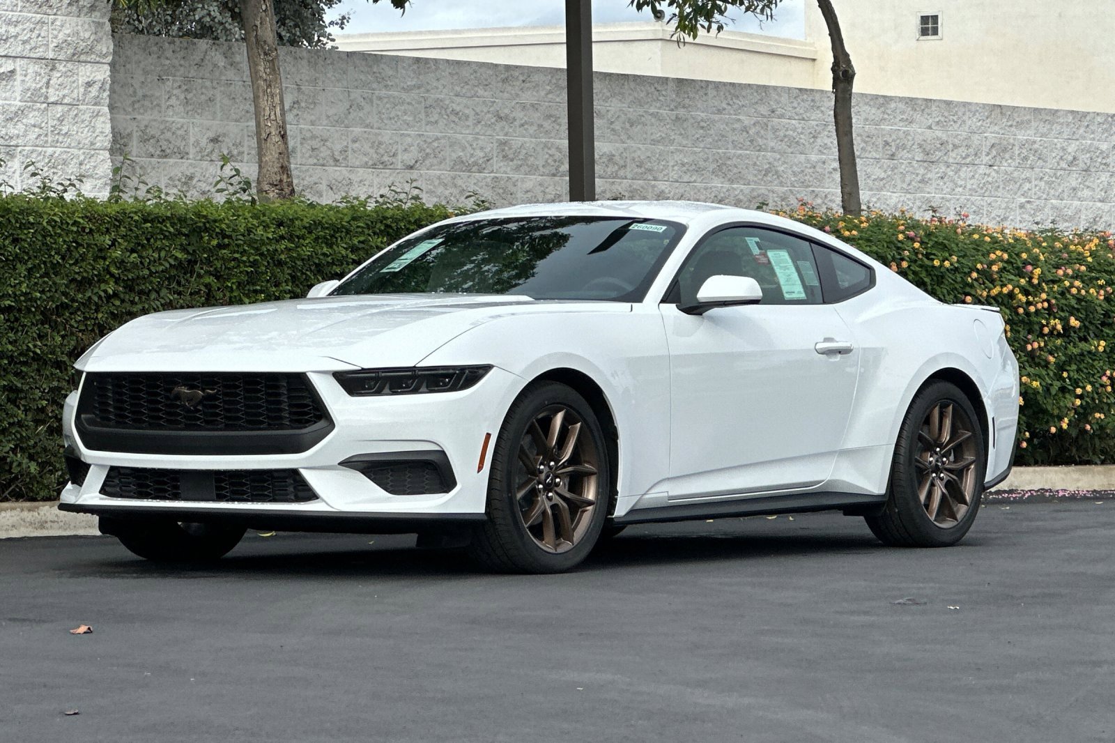 New 2026 Ford Mustang Coupe w/ Bronze Appearance Package image 8