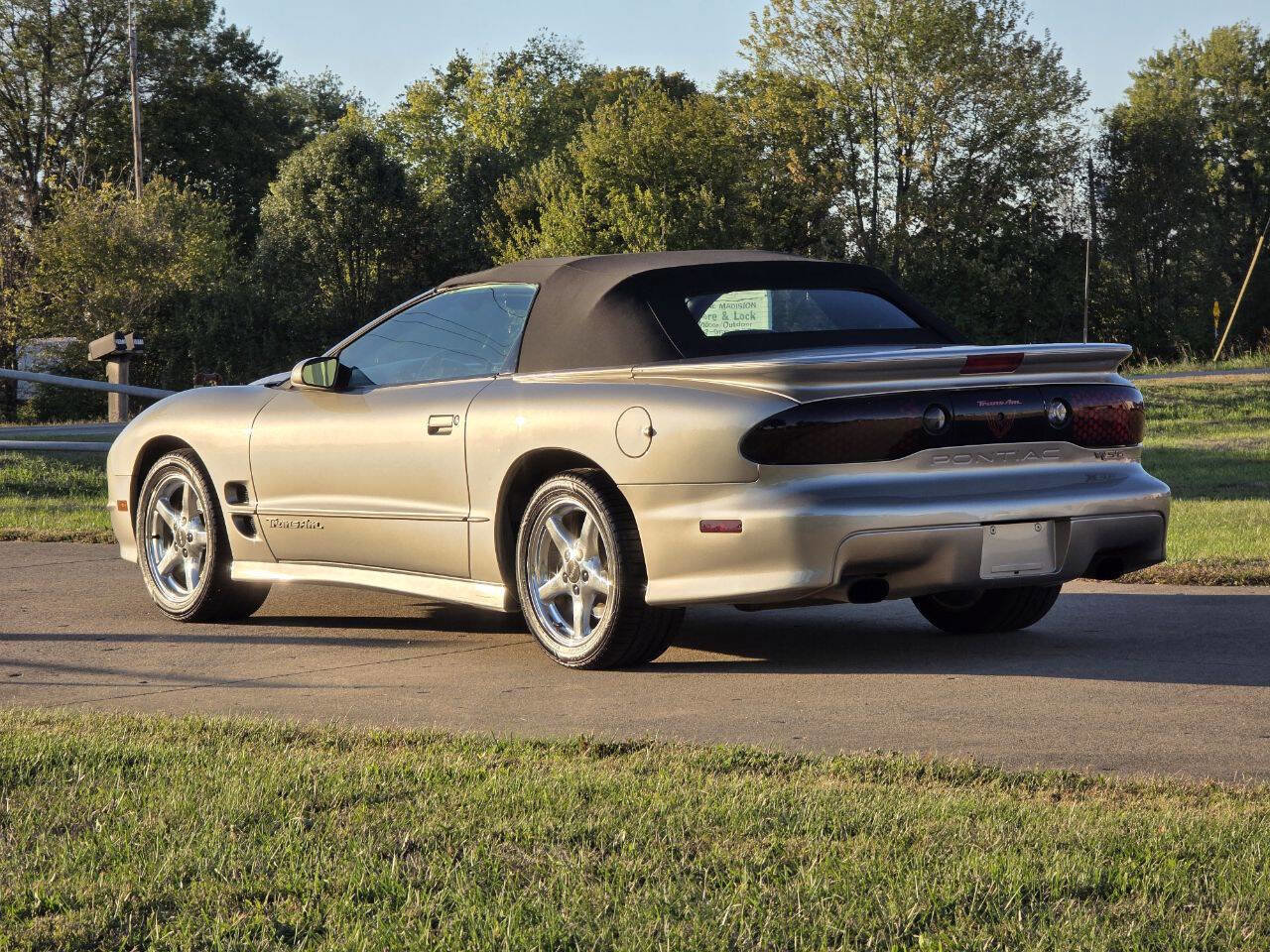 Used 2002 Pontiac Firebird Trans Am image 3