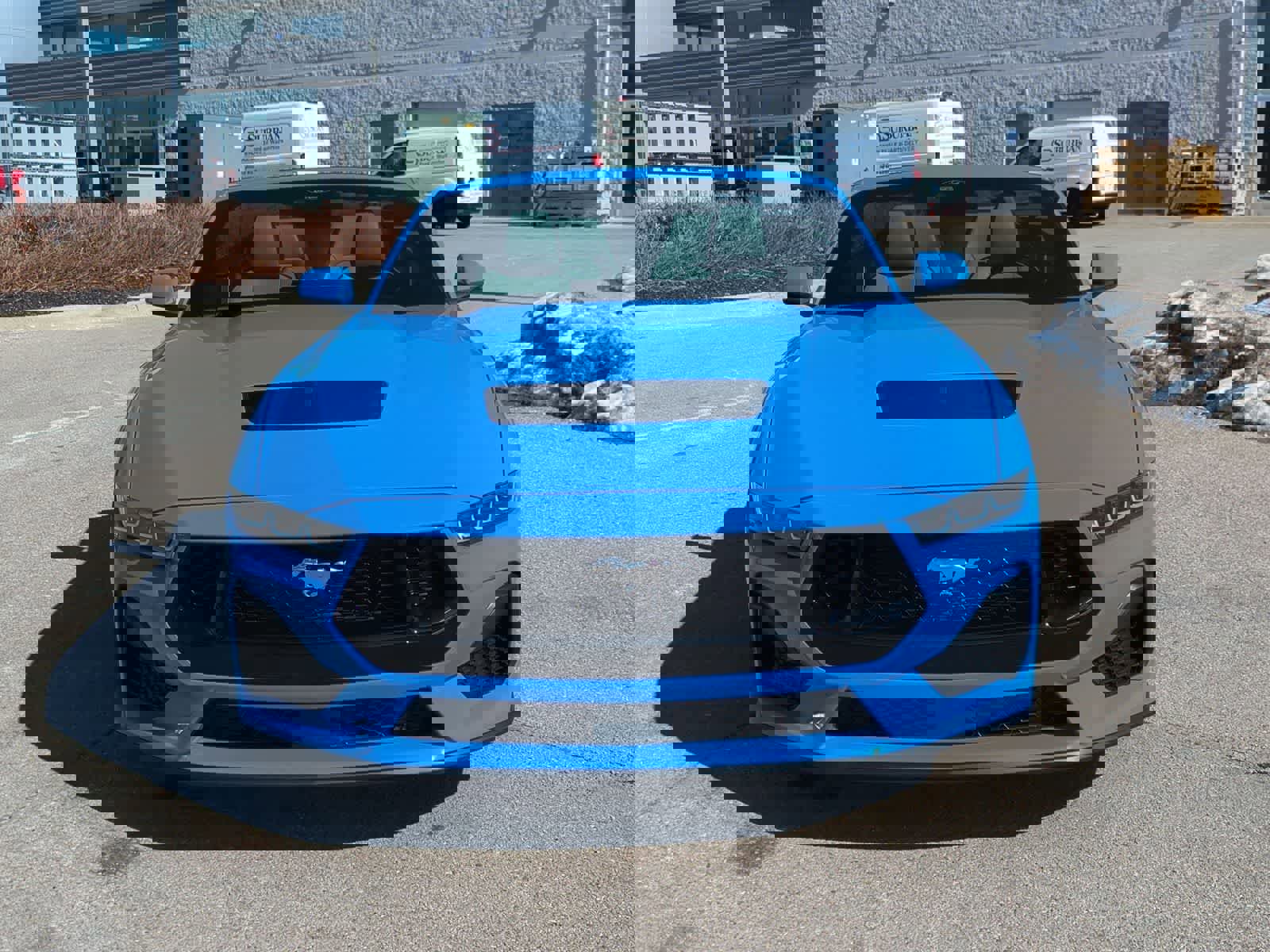 Used 2024 Ford Mustang GT Premium image 3