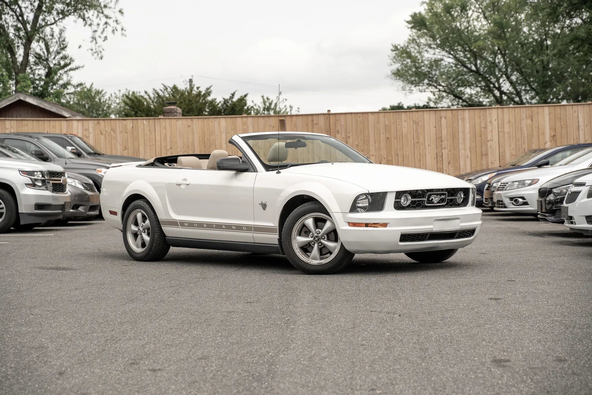 Used 2009 Ford Mustang Convertible RWD image 1
