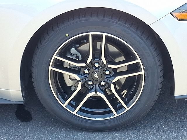 Used 2019 Ford Mustang Premium RWD image 30