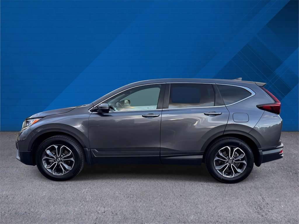Certified 2022 Honda CR-V EX-L image 6