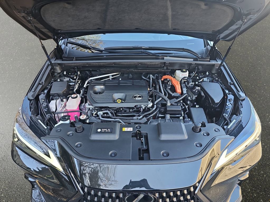 Certified 2024 Lexus NX 350h AWD w/ Cold Area Package image 34