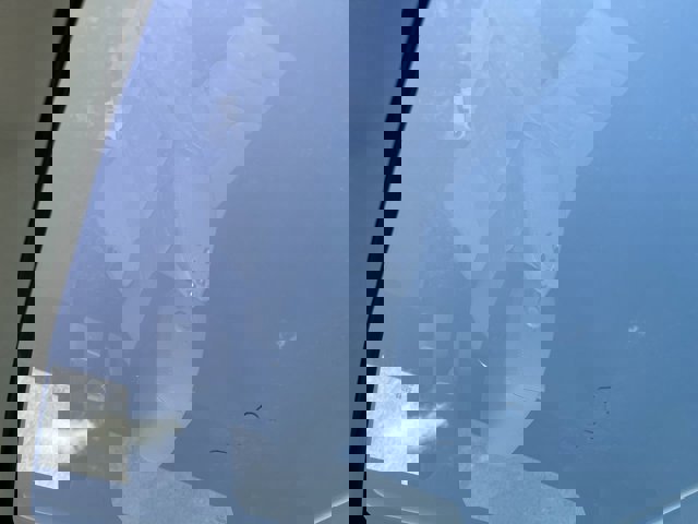 Used 2017 Land Rover Range Rover Evoque SE Premium AWD/4WD image 19