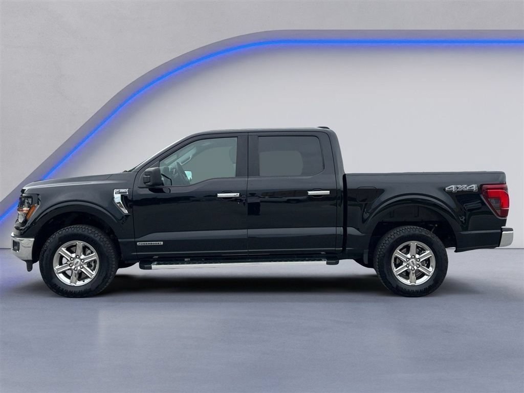 Used 2025 Ford F150 XLT w/ Equipment Group 301A Standard AWD/4WD image 7