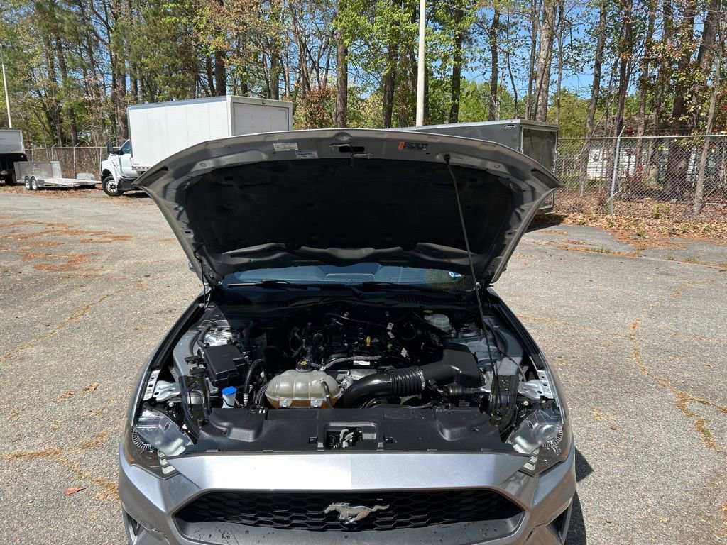 Used 2023 Ford Mustang Premium image 11