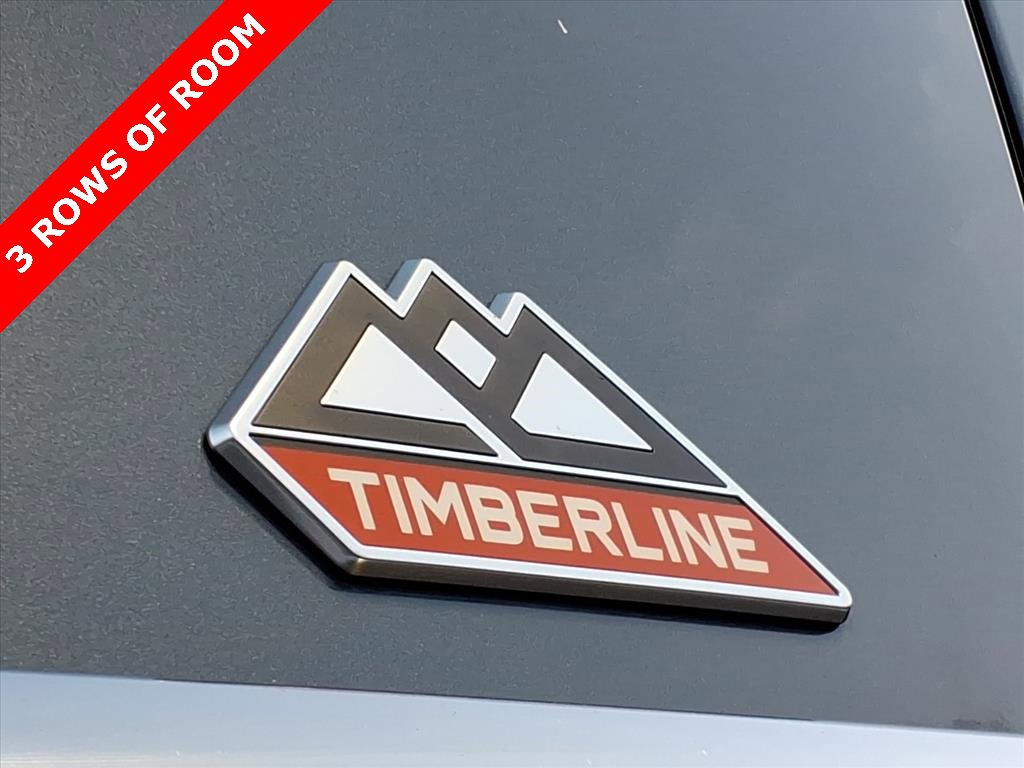Used 2022 Ford Expedition Timberline image 6