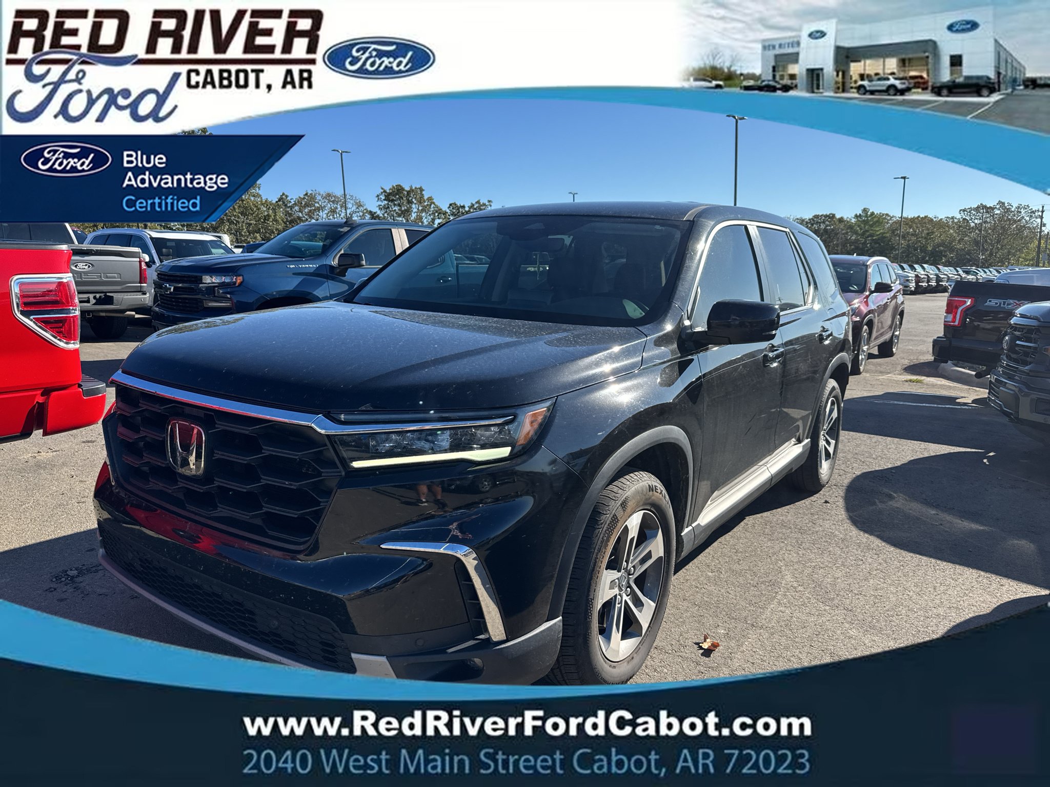 Used 2025 Honda Pilot EX-L