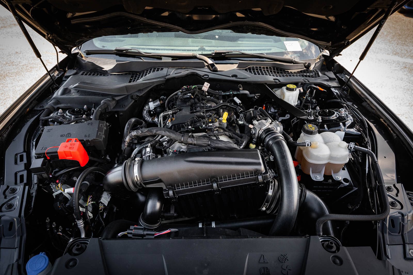 Certified 2024 Ford Mustang Premium RWD image 21