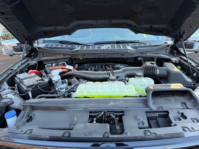 New 2025 Ford F150 XLT w/ Equipment Group 302A MID image 24