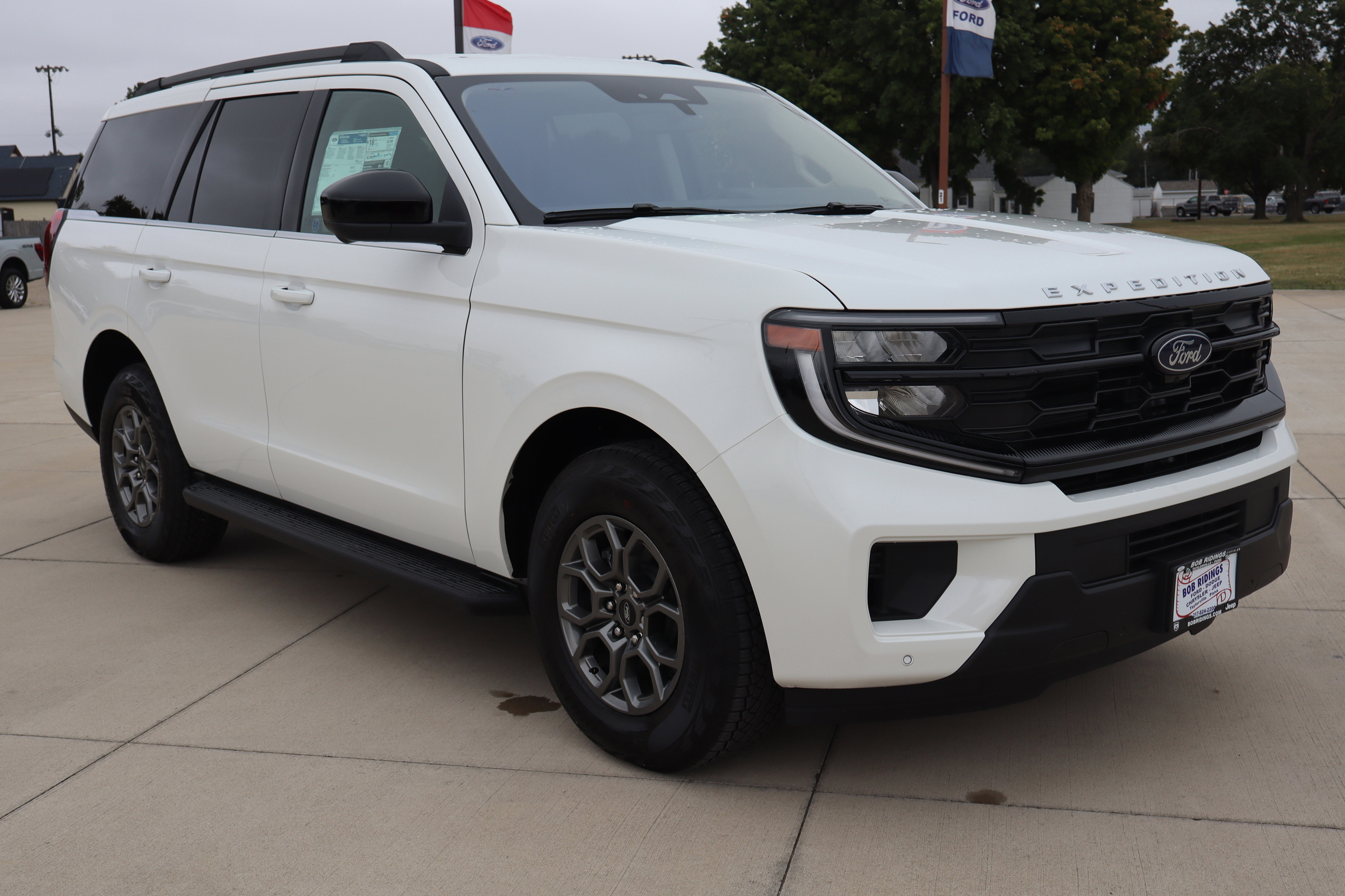 New 2025 Ford Expedition Active image 3