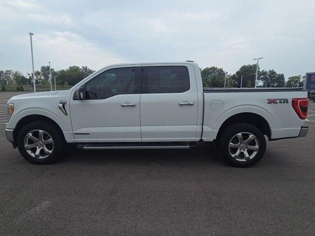 Used 2021 Ford F150 XLT w/ Equipment Group 302A High AWD/4WD image 13