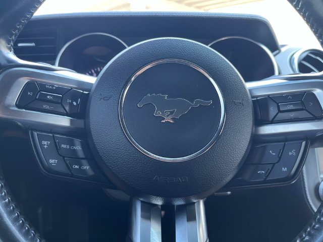 Used 2019 Ford Mustang GT Premium w/ California Special Package RWD image 14