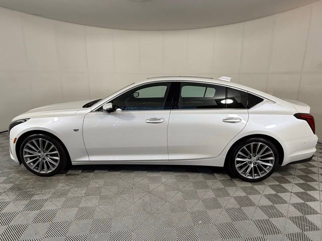 New 2025 Cadillac CT5 Premium Luxury RWD image 3