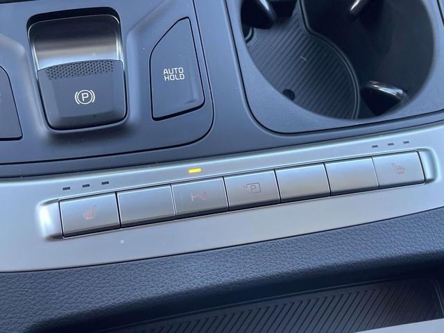 New 2026 Kia Carnival image 38