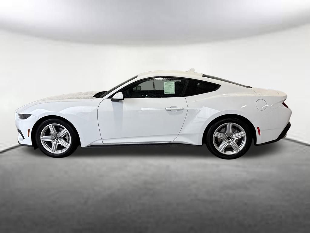 New 2026 Ford Mustang EcoBoost video 2