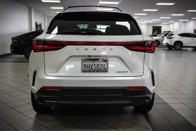Certified 2024 Lexus NX 250 FWD image 7