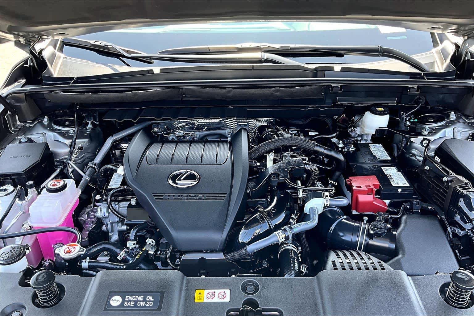 Certified 2025 Lexus NX 350 AWD w/ Cold Area Package image 30