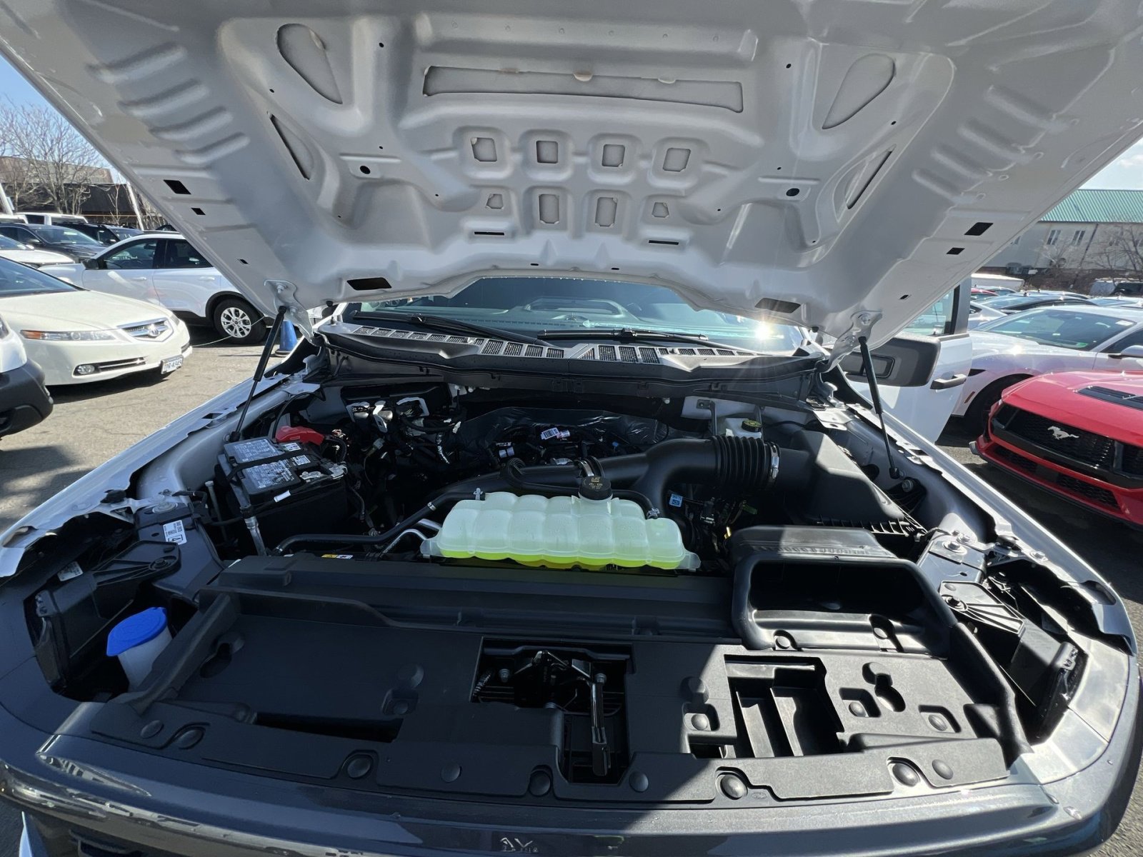 New 2026 Ford F150 STX w/ Equipment Group 200A image 26